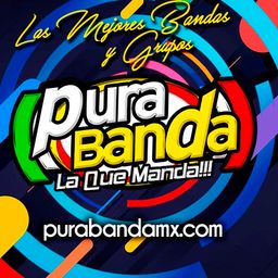 Website preview